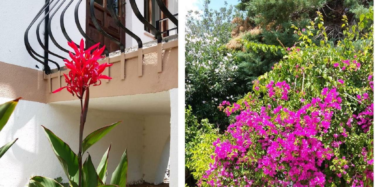 Kas Lemon Hotel Exterior photo